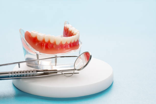 Manasota Key, FL  Holistic Dental Services Company